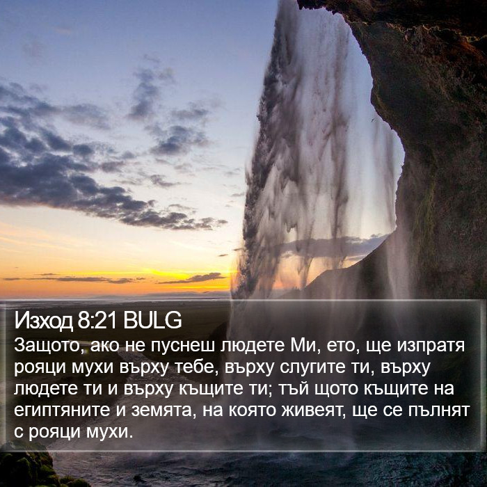 Изход 8:21 BULG Bible Study