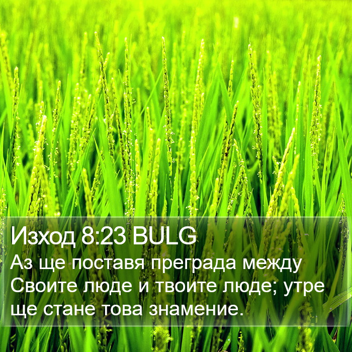 Изход 8:23 BULG Bible Study