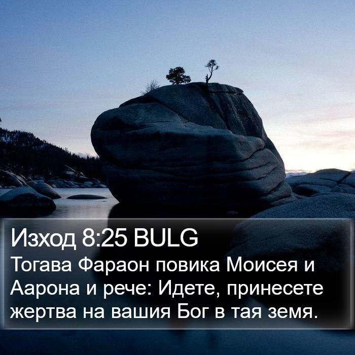 Изход 8:25 BULG Bible Study