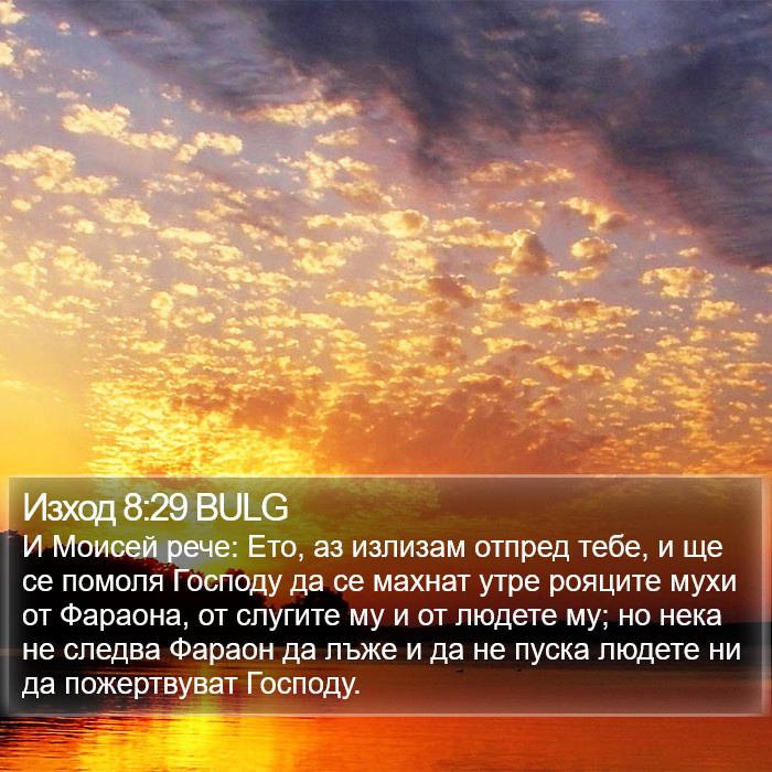 Изход 8:29 BULG Bible Study