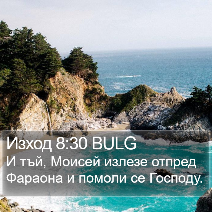 Изход 8:30 BULG Bible Study