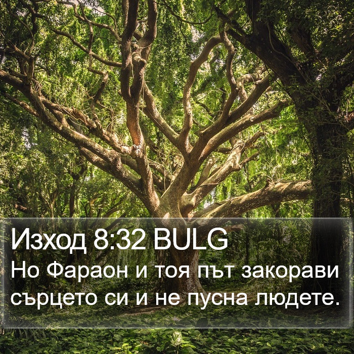 Изход 8:32 BULG Bible Study