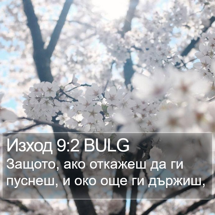 Изход 9:2 BULG Bible Study