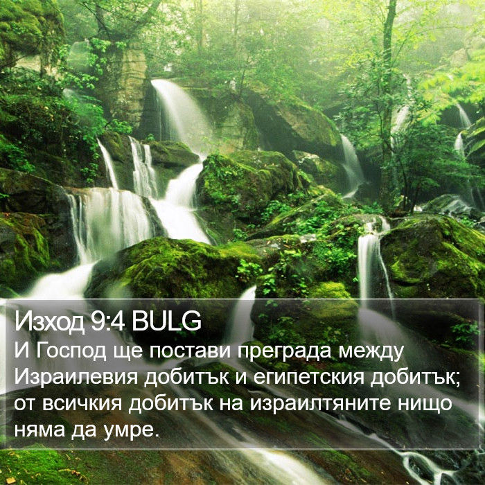 Изход 9:4 BULG Bible Study