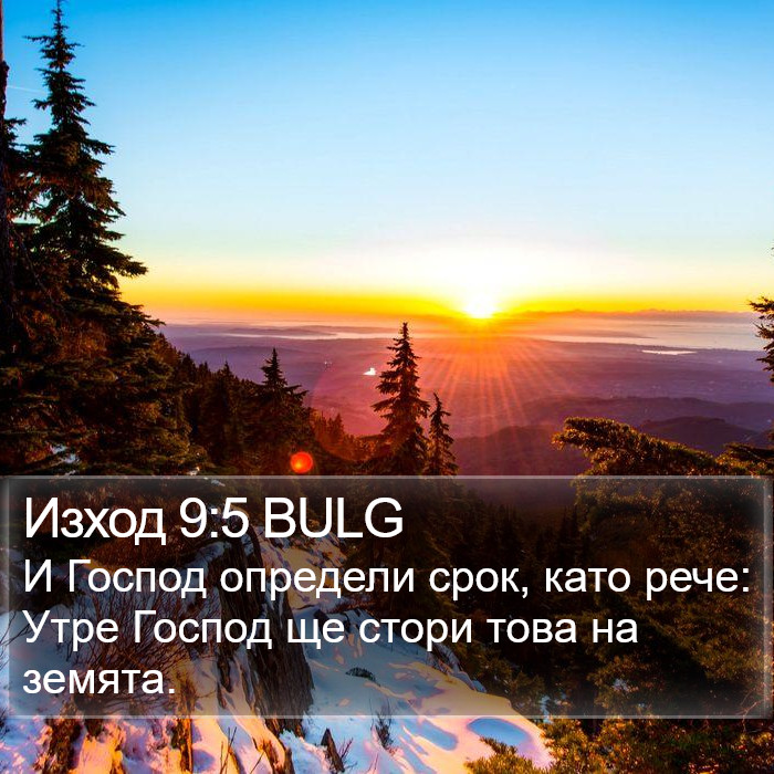 Изход 9:5 BULG Bible Study