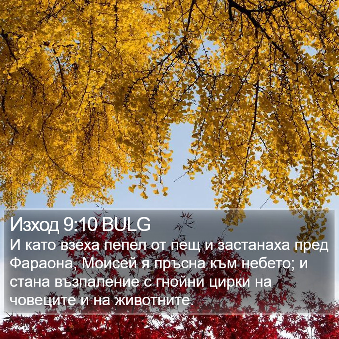 Изход 9:10 BULG Bible Study