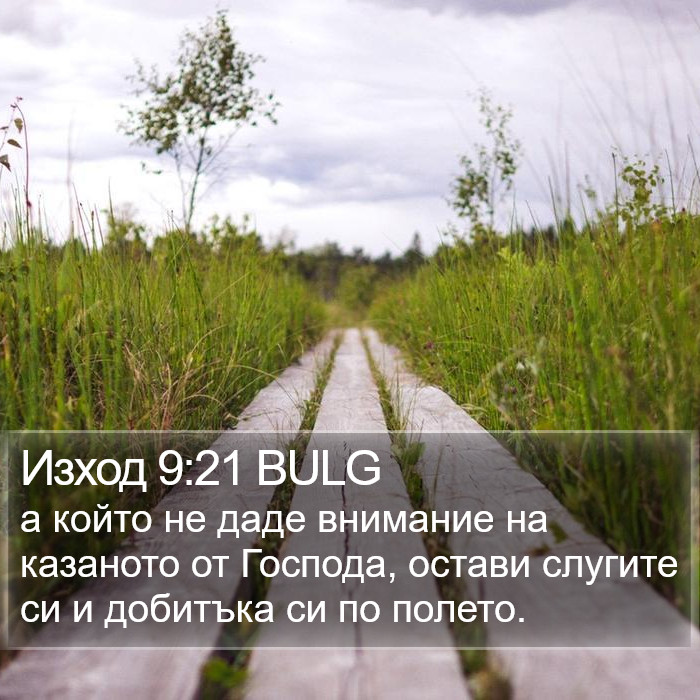 Изход 9:21 BULG Bible Study