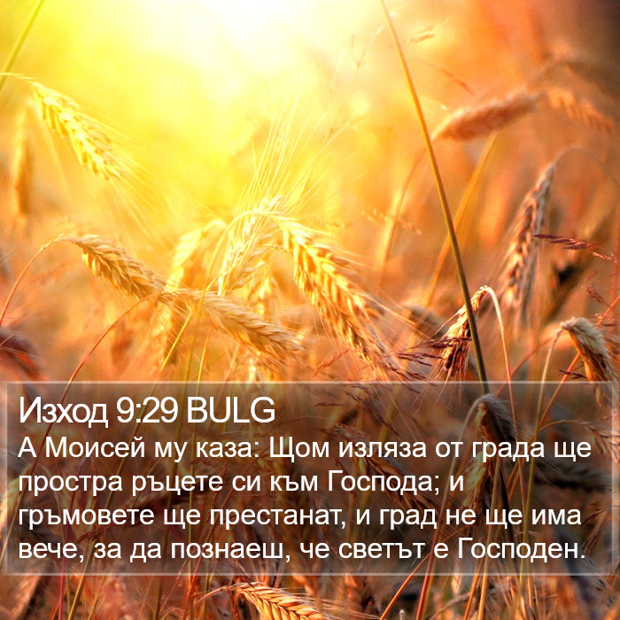 Изход 9:29 BULG Bible Study