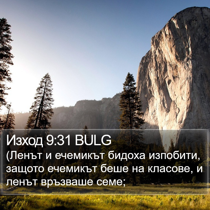 Изход 9:31 BULG Bible Study