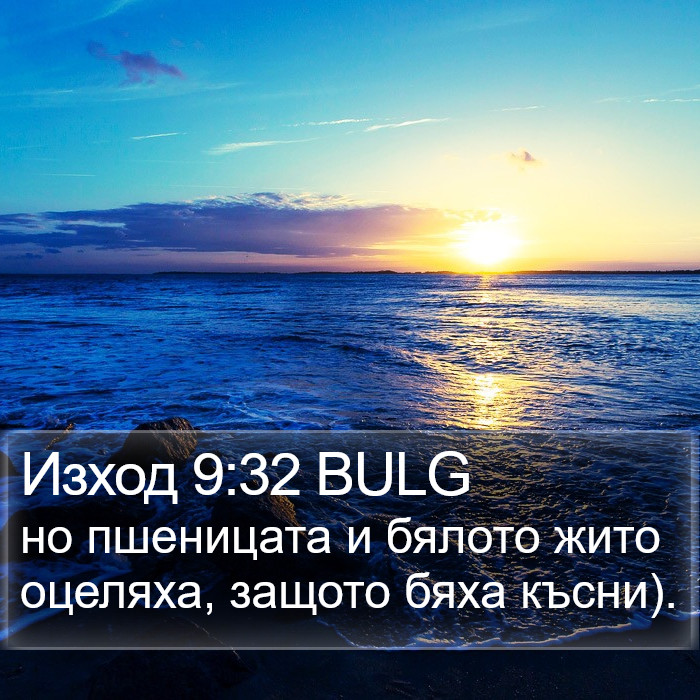 Изход 9:32 BULG Bible Study