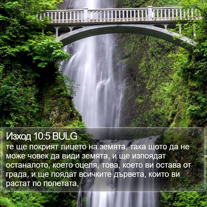 Изход 10:5 BULG Bible Study