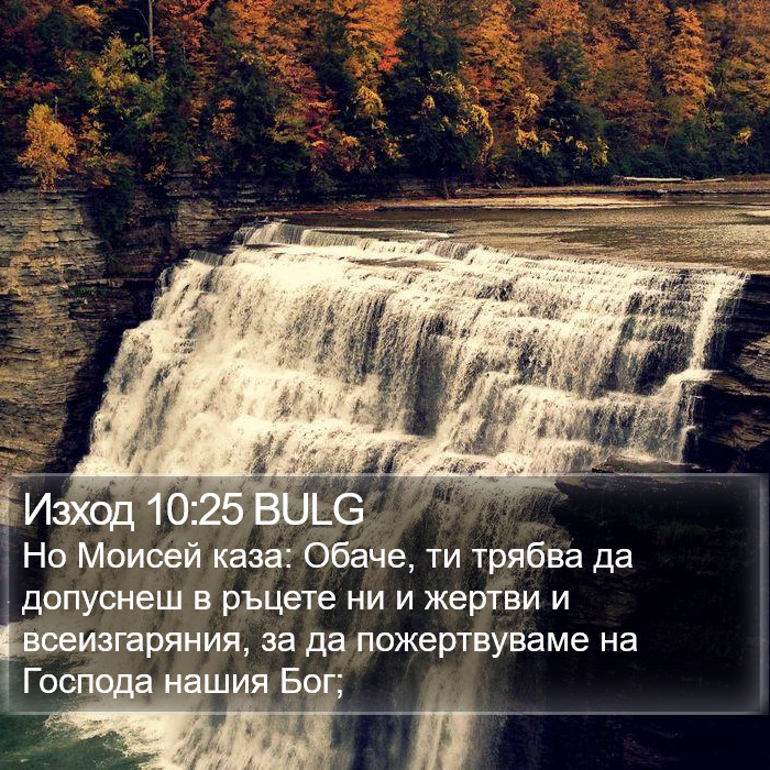 Изход 10:25 BULG Bible Study