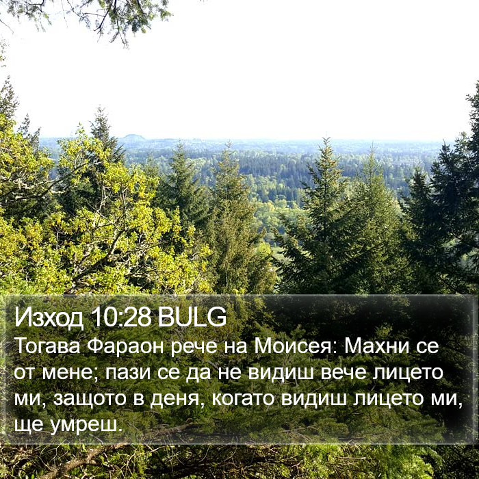 Изход 10:28 BULG Bible Study