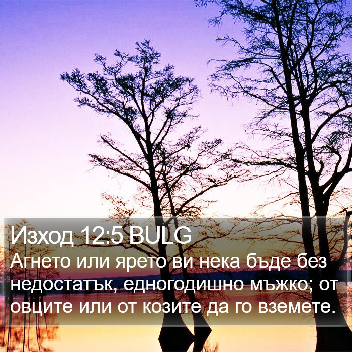 Изход 12:5 BULG Bible Study