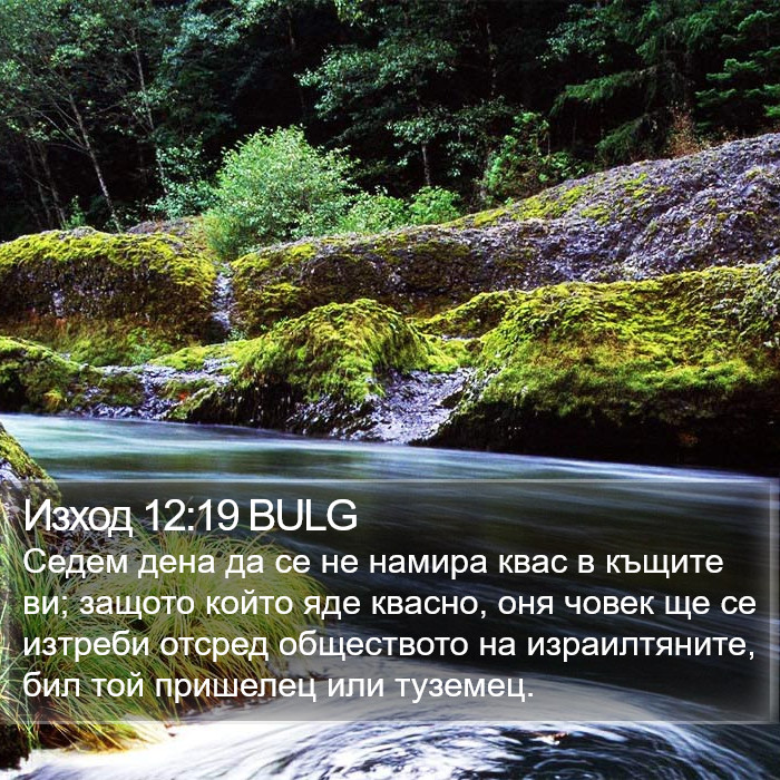 Изход 12:19 BULG Bible Study