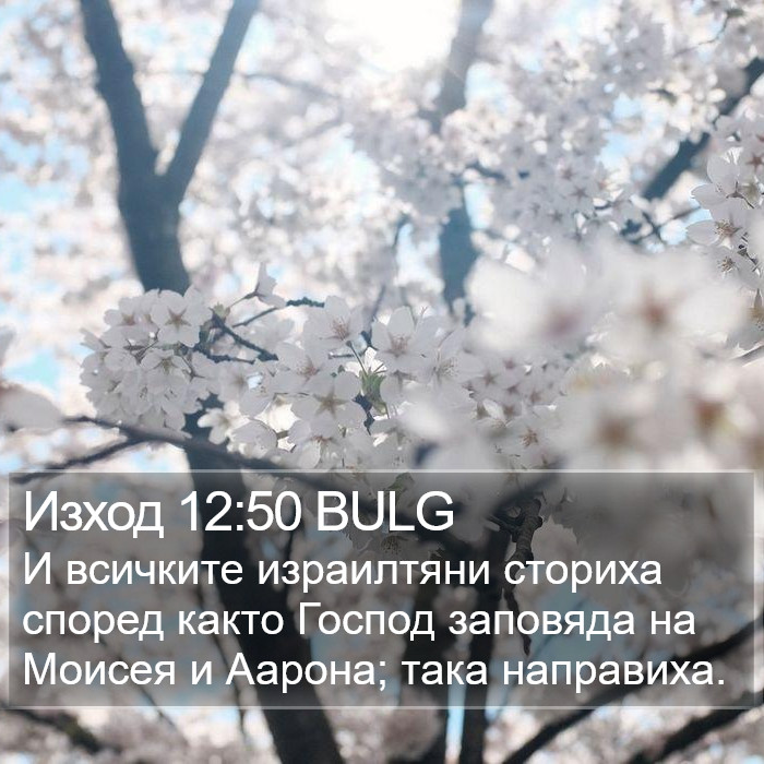 Изход 12:50 BULG Bible Study