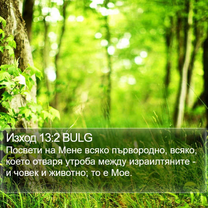 Изход 13:2 BULG Bible Study