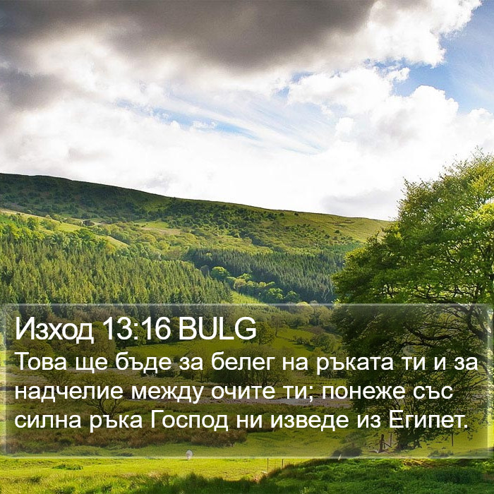 Изход 13:16 BULG Bible Study