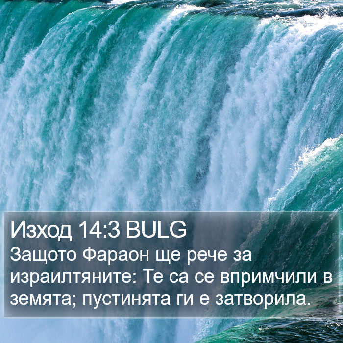 Изход 14:3 BULG Bible Study