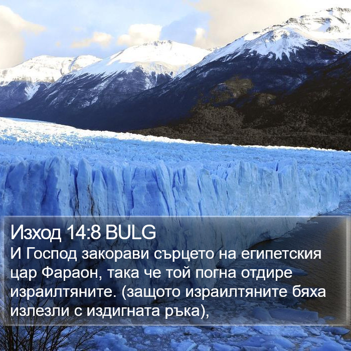 Изход 14:8 BULG Bible Study