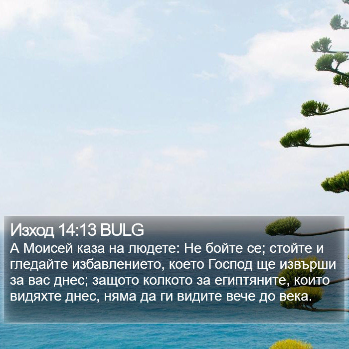 Изход 14:13 BULG Bible Study