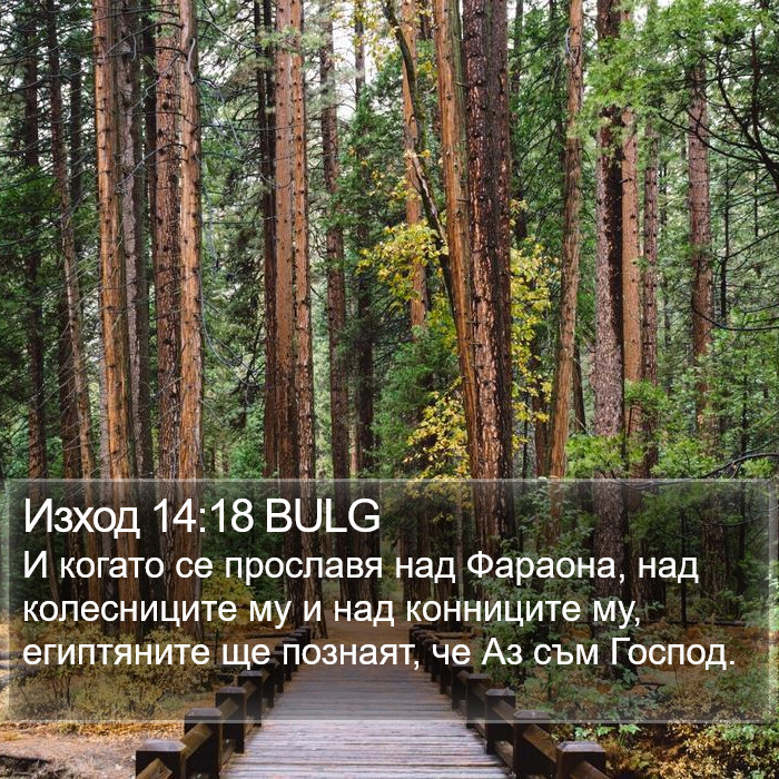 Изход 14:18 BULG Bible Study