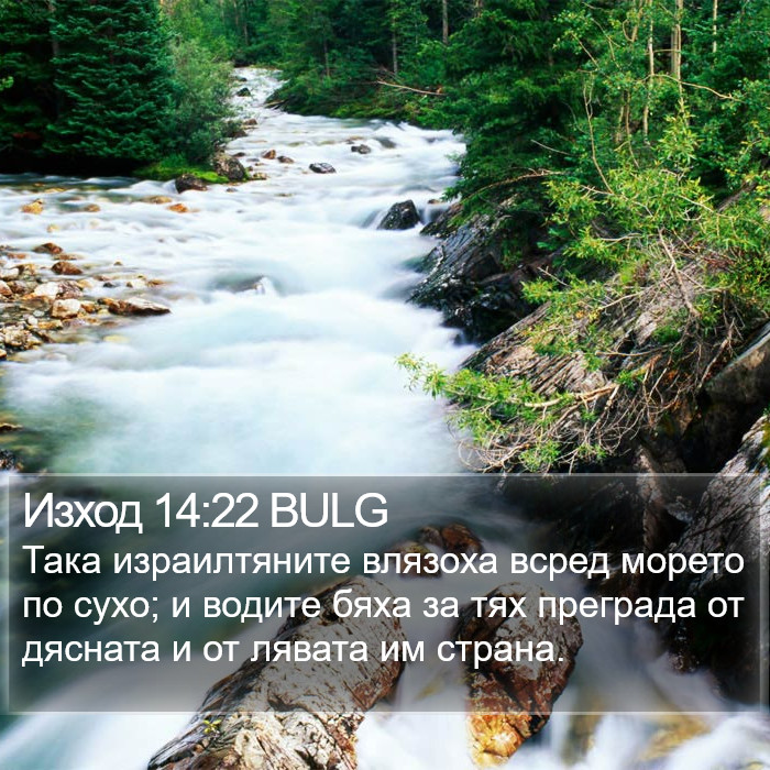 Изход 14:22 BULG Bible Study