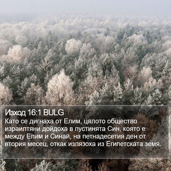 Изход 16:1 BULG Bible Study