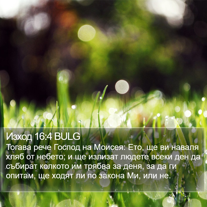 Изход 16:4 BULG Bible Study