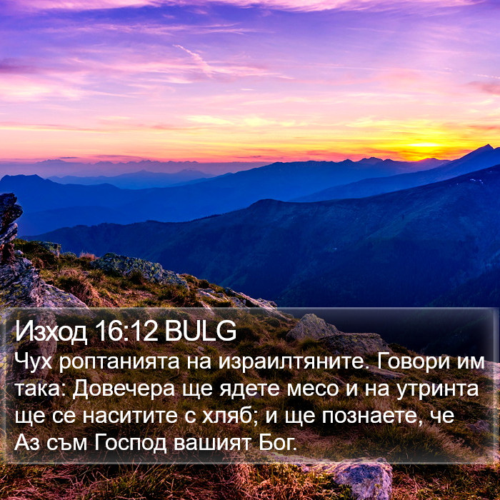 Изход 16:12 BULG Bible Study