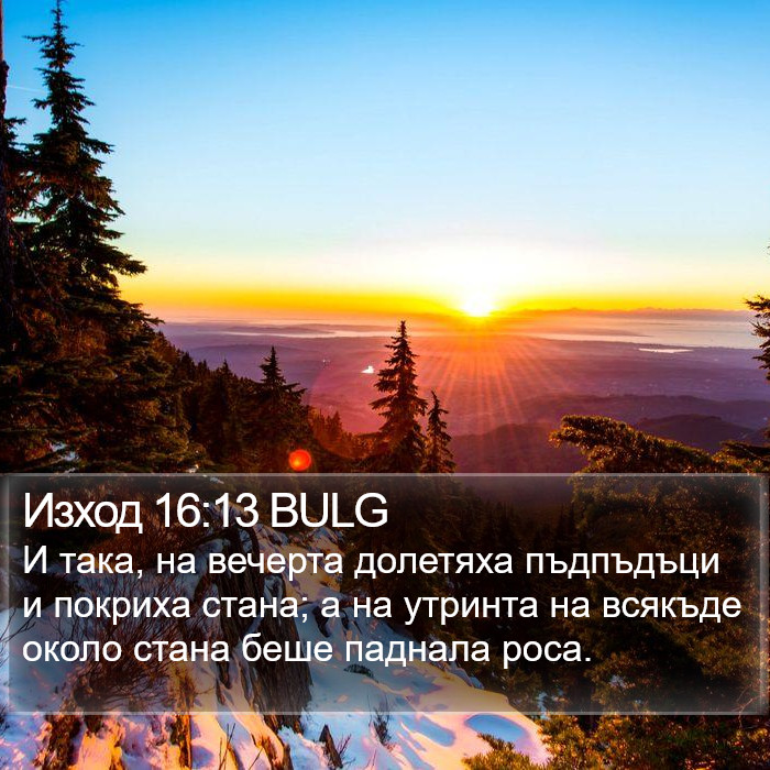 Изход 16:13 BULG Bible Study