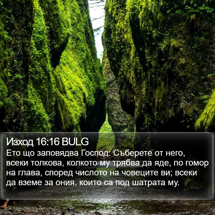 Изход 16:16 BULG Bible Study