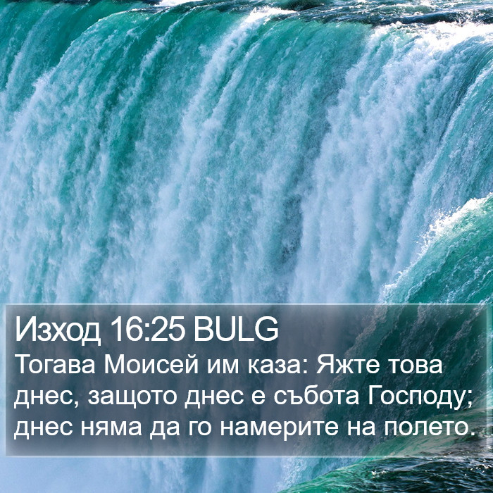 Изход 16:25 BULG Bible Study