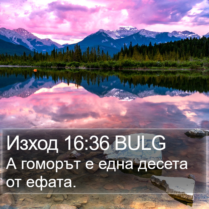 Изход 16:36 BULG Bible Study