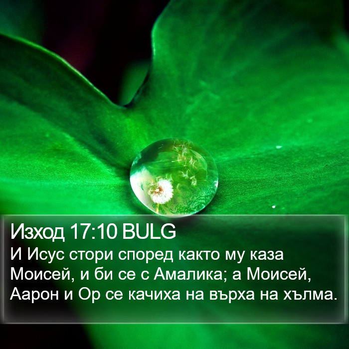 Изход 17:10 BULG Bible Study