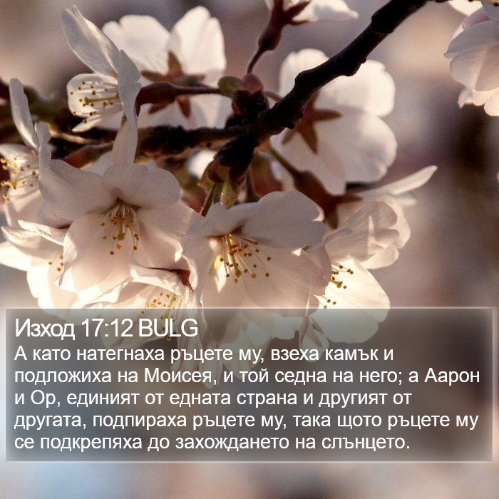 Изход 17:12 BULG Bible Study