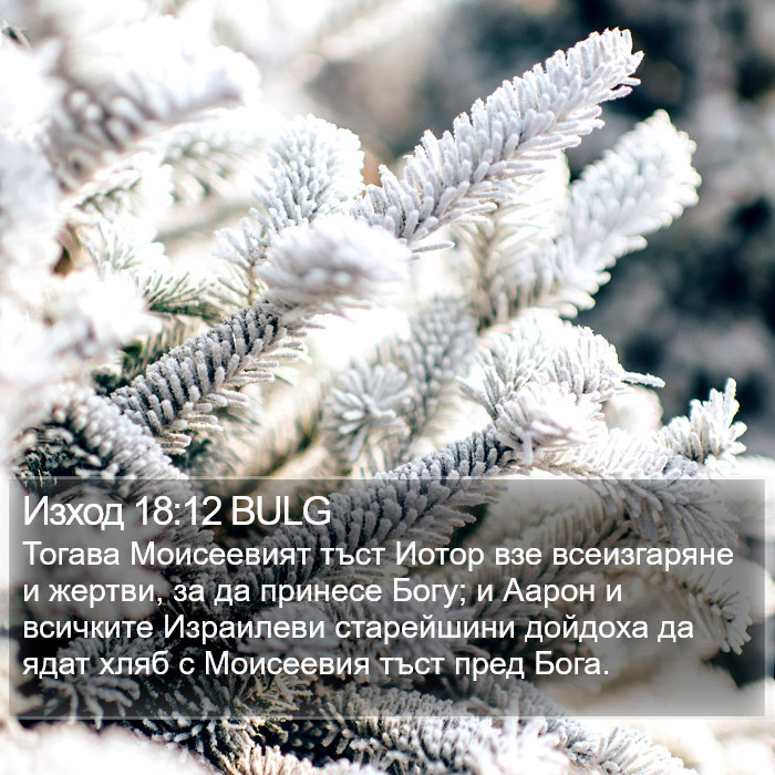 Изход 18:12 BULG Bible Study