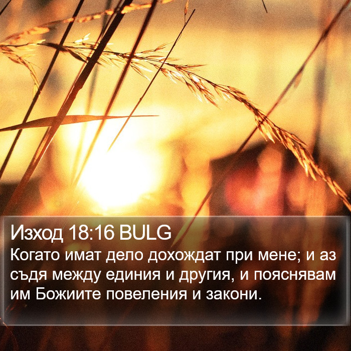 Изход 18:16 BULG Bible Study