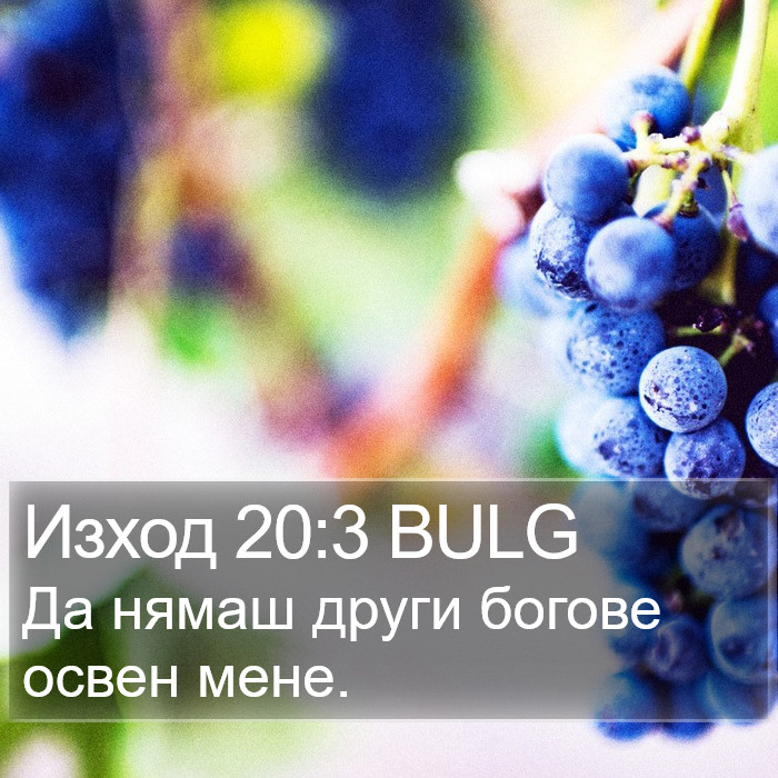 Изход 20:3 BULG Bible Study