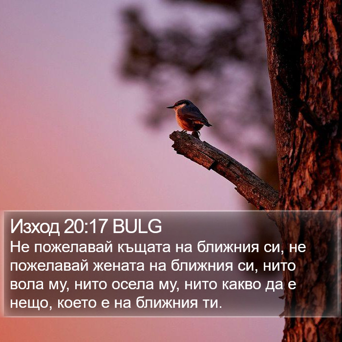 Изход 20:17 BULG Bible Study