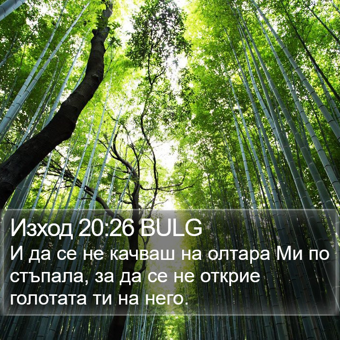 Изход 20:26 BULG Bible Study