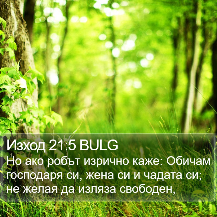 Изход 21:5 BULG Bible Study