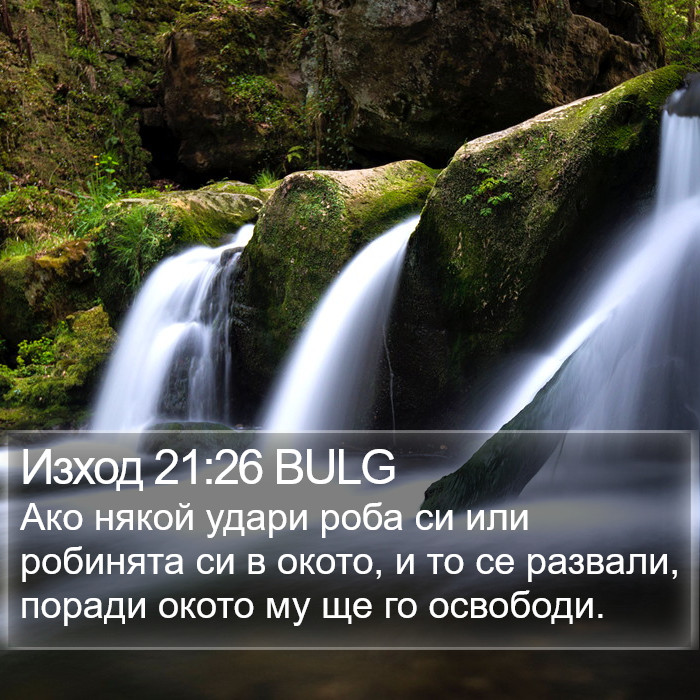 Изход 21:26 BULG Bible Study