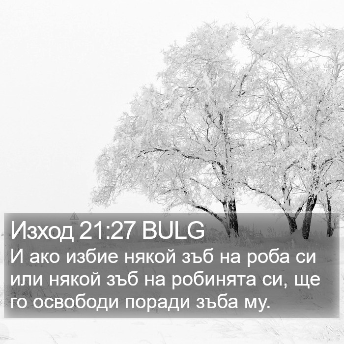 Изход 21:27 BULG Bible Study