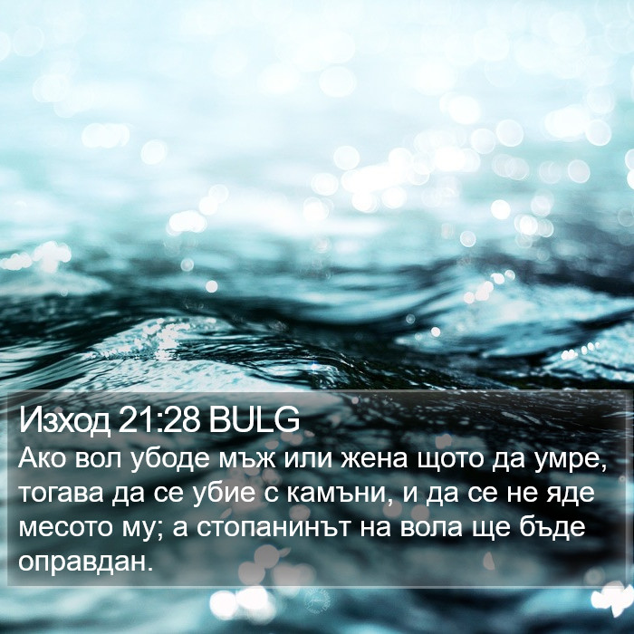 Изход 21:28 BULG Bible Study