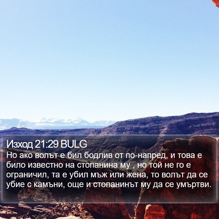 Изход 21:29 BULG Bible Study