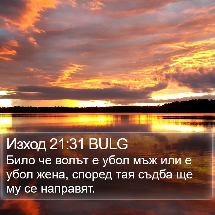 Изход 21:31 BULG Bible Study