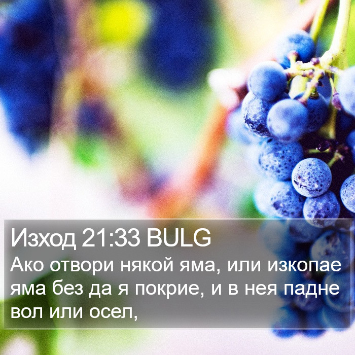 Изход 21:33 BULG Bible Study