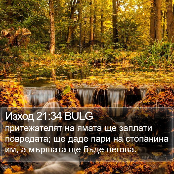 Изход 21:34 BULG Bible Study