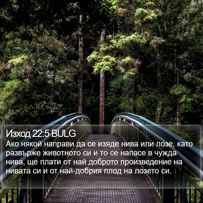 Изход 22:5 BULG Bible Study